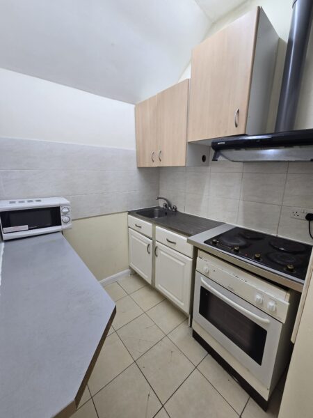 Massive Flat with Bills £1650, IG11