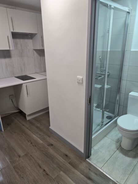 Stunning Brand-New Self-Contained Studios For Rent IG1