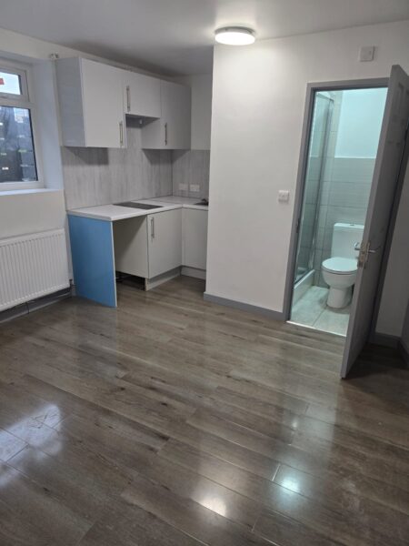 Stunning Brand-New Self-Contained Studios For Rent IG1